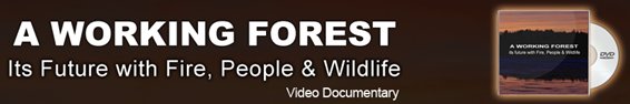 working forest dvd
